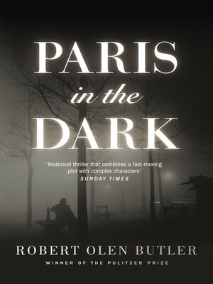 cover image of Paris In the Dark
